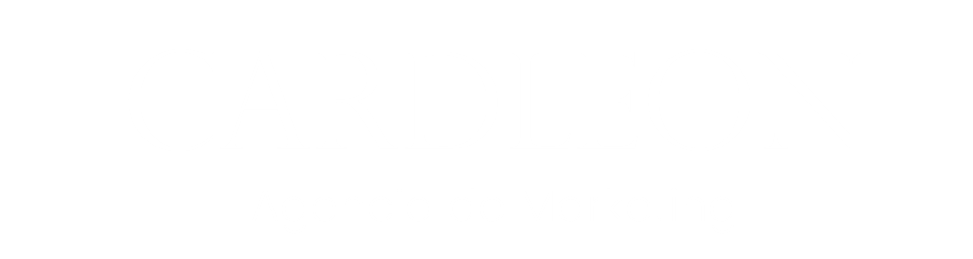 Agencia de marketing CARDLEON enfocados en el rubro industrial.