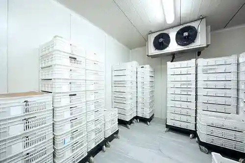 Cuartos Fríos